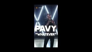 Pavy - Whatever [Official Music Video]
