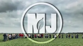 Pulse Crop Benefits - Shannah Plehal - June 29, 2018