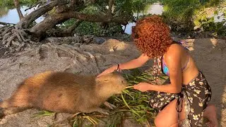 DELTA AMACURO 🇻🇪| MI PRIMER VIAJE A LA SELVA🌿@Marcela.aventurasve