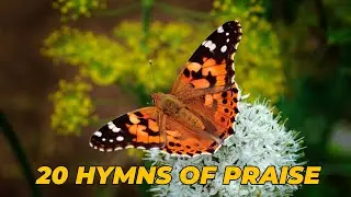 20 Hymns of Praise (With lyrics) - SATB