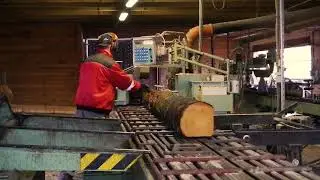 Circular sawmill Kara Master