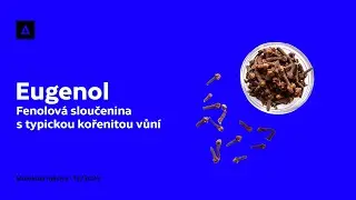 Eugenol | Molekula měsíce - 12/2025