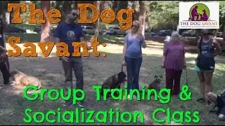 Los Angeles Group Dog Training w/ Brett Endes The Dog Savant