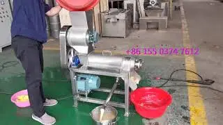 Complete Pineapple Juice Processing Plant Apple Juicing Equipment Tomato Pulp Making System