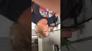 Montage of me