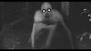 911 call where a witness reports a Rake like human creature
