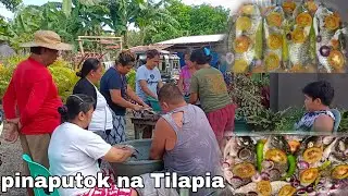 Pinaputok na Tilapia huli sa Palaisdaan/sariwa at bagong huli Vlog #367
