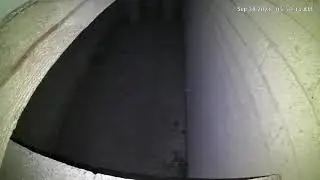 black shadow ghost on security camera