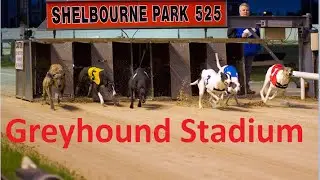 TUREN TIL DUBLIN! (Dag 2) Greyhound Stadium - Oskar Hole