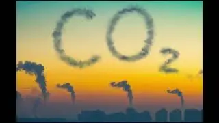 Shades of REDD+/The Right to Carbon, the Right to Land, the Right to Decide