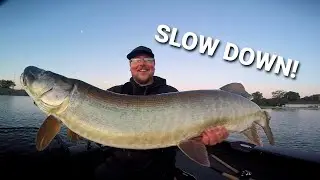 SLOW TOPWATER for COLD FRONT MUSKIES