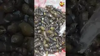 Snail Cleaning Techniques | Ghonga Saaf Karne Ka Asan Tarika | How To Clean Snails #short #viral