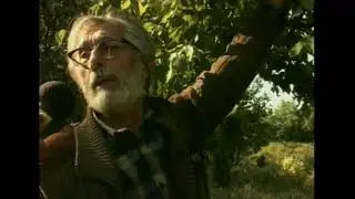 Archives D&eacute;partementales - La cornouille