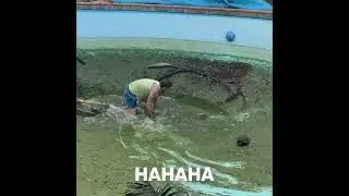 TRY NOT TO LAUGH 348 #dontlaught #funnyvideos #ylyl #shorts #trynottolaugh #funnyclips