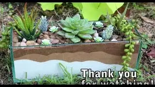 DIY - Beautiful and Easy Centerpiece with Decor Sand and Succulents TUTORIAL