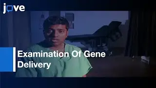 Culture Of Patient Tissue & Examination Of Gene Delivery l Protocol Preview