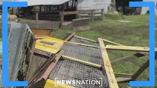 Florida farmers report significant damage from Hurricane Ian | Morning in America