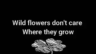 NUNUI - Wild Flowers (cover)