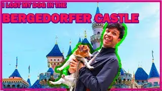 Bergedorfer Castle - Lost dog