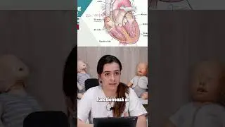 𝐂𝐮𝐦 𝐟𝐮𝐧𝐜𝐭𝐢𝐨𝐧𝐞𝐚𝐳𝐚 𝐢𝐧𝐢𝐦𝐚 ?
