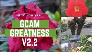Greatness v2.2 for RN8P (Free Download | with Configs Tested | Good Macro & Backlit)