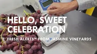 Sweet Celebrations are here!