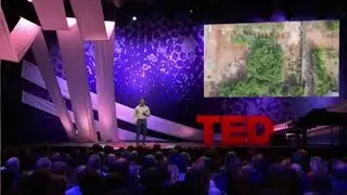 TED Talks: How to Grow a Forest in your Backyard by Shubhendu Sharma