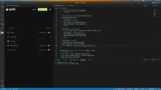 Detect runtime security vulnerabilities in your code @ Sprkl