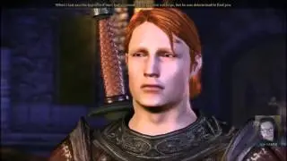 Ser Gilmore's Sacrifice - Beginners Guide to Dragon Age Origins 005