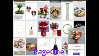 PageOne Plugin: The web Version