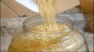 Salted & Unsalted Homemade Muri (Puffed Rice) | Ruma's Rannaghor