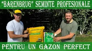 Amestec de Semințe Profesionale pentru Gazon Perfect | Barenbrug Resilient Blue + Landscaper Pro