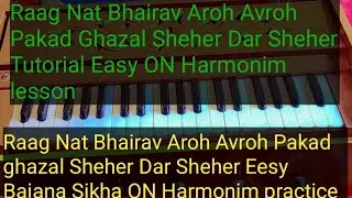 Raag Nat Bhairav #RaagNatBhairav Aroh Avroh Pakad ghazal Sheher Dar Sheher Tutorial Easy ON Lessons 