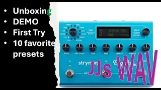 First time with this reverb!!| Strymon BigSky MX
