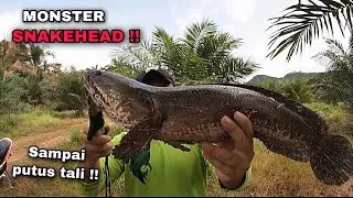 Sampai Putus Tali Aku !! Spot Ni Banyak HARUAN MEGA !!!