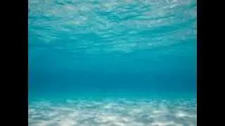 Aquatic Attraction (Prod. Money Mark)