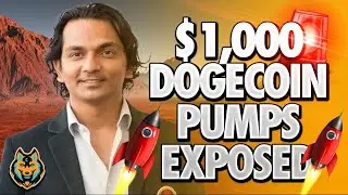 ALL DOGECOIN HOLDERS: Massive Pumps Are Coming For Dogecoin 🚨
