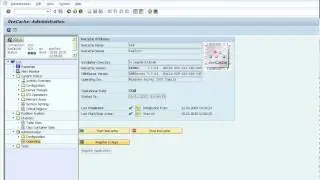 SAP APO Video Live Cache