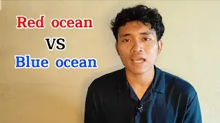 Red Ocean Vs Blue Ocean theories in consumer behaviour