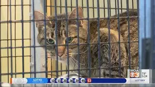 Champaign Co. Humane Society starts 