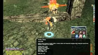 My First Archlord PK Movie