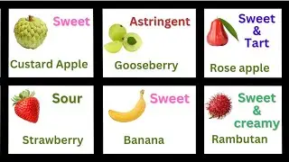 Learn different tastes of fruits for kids / sweet,sour and astringent tastes |#@yellowchicks100