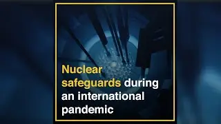 Nuclear Safeguards during an International Pandemic