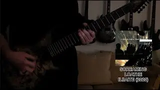 Screaming - Loathe (GUITAR COVER)