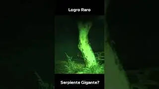 Serpiente gigante avistada en Brasil #prehistoric #gigante #miedo #brasil #criptozoologie