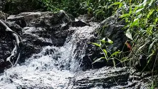 Rushing River Sounds 10 Hours White Noise Nature Sounds | Insomnia Relief, Calm, Relax & Study Sound