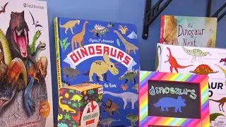 &ldquo;The Little Bookworm&rdquo; - A Blacksburg bookstore that&rsquo;s aiming to improve children&rsquo;s literacy