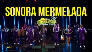 SONORA MERMELADA en VIVO en Kolorina's Night Show 2025