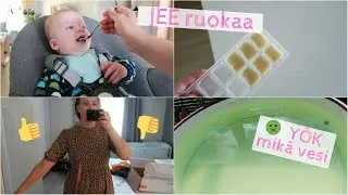 Vanilla latte testissä | HYI mikä hämähäkki