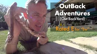 OutBack Adventures (out in our backyard)